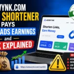adswynk com